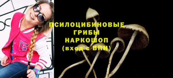 мдма Горняк