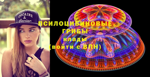 бошки Горнозаводск