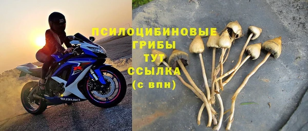 кристаллы Нягань