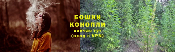 бошки Горнозаводск